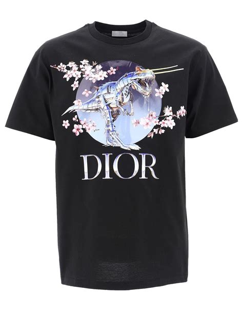 dior men t-shirts|christian dior men's shirt price.